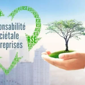 Responsabilité Sociétale & Durabilité